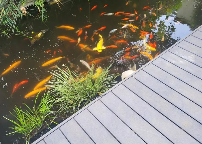 Апартаменты Loft Les Angles 30133 Possibilite Jacuzzi *